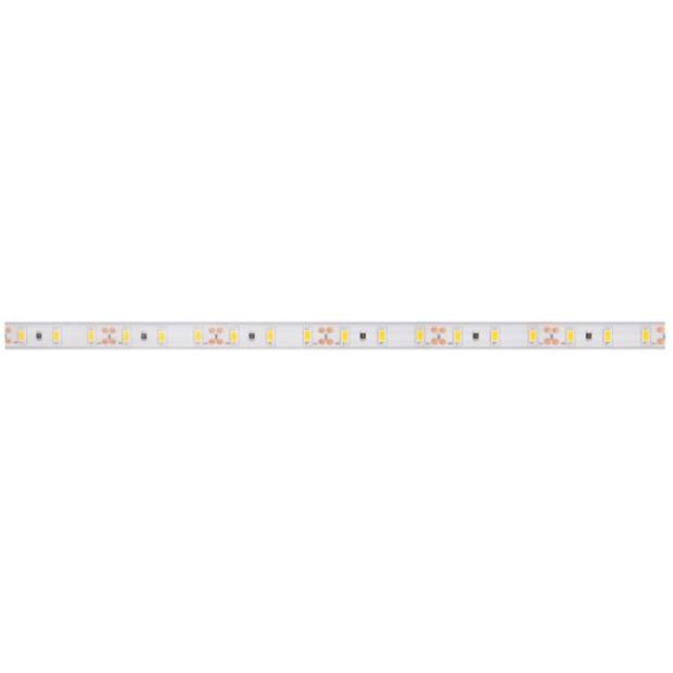 LED pásky 24V 6W rôzne typy Panlux